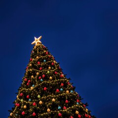 Wall Mural - illuminated christmas tree with star topper on dark blue christmas tree holiday winter festive celeb