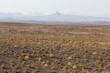 ©  Hamed - Texture of arid desert thinly covered with bushes and herbs indicating low precipitation near Nodoushan, Yazd, Iran.