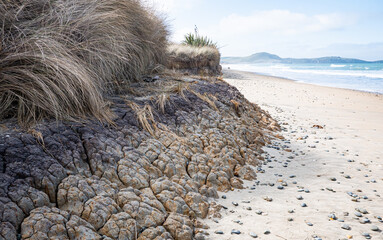 Wall Mural - Coastal scene beach and rocks calm ocean in New Zealand