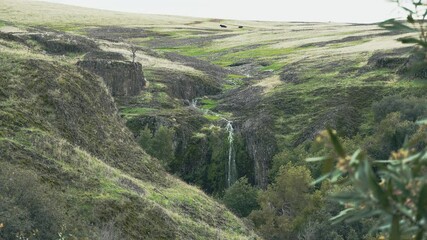 Poster - Ravine falls in green landscape with cattle 