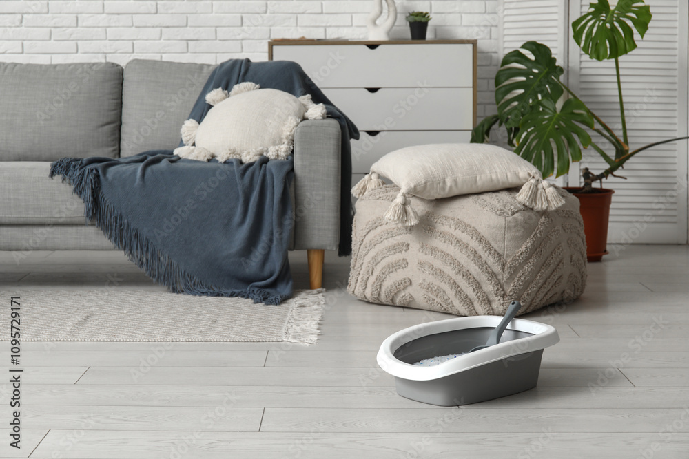 Litter box for cat on floor in living room