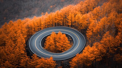 Poster - A serpentine highway winding through a vibrant autumnal forest, the asphalt ribbon contrasting against the fiery hues of the foliage.