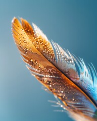 Poster - Macro shot of a feather with intricate details soft lighting nature photography clean background close-up view textures and colors for seo impact