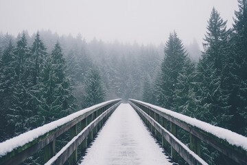 Wall Mural - a long bridge with snow-covered railings surrounded by a winter landscape