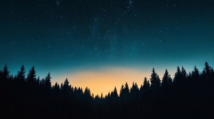 Wall Mural - 星空と森のシルエット