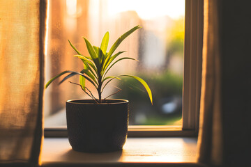 Wall Mural - flower in a window