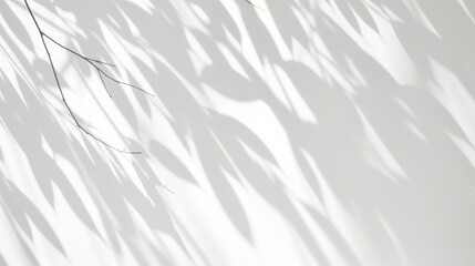 Poster - Abstract Natural Shadows of Leaves and Branches Projected on a Plain Background for Artistic Purposes and Creative Use in Design Projects