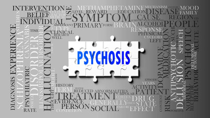 Wall Mural - Psychosis as a complex subject, related to important topics. Pictured as a puzzle and a word cloud made of most important ideas and phrases related to psychosis. ,3d illustration