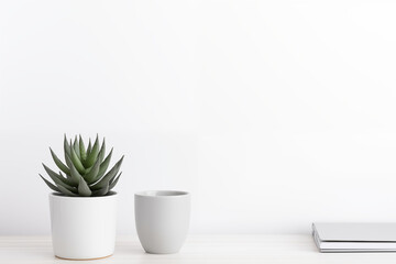 Two white plant pots arranged on a table