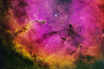 Wall Mural - IC1396 Misty Clover