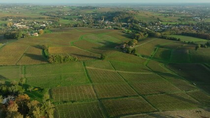 Canvas Print - Autumn landscape around Bordeaux vineyards, Bordeaux Vineyard at sunset in autumn, Entre deux mers, Sainte-Croix-du-Mont, Gironde. High quality video