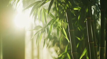 Poster - Sunlight filters through lush bamboo leaves in a serene garden setting during early morning hours
