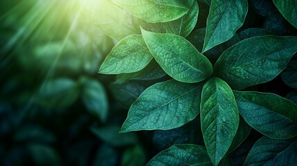 Poster - Soft Focus Background with Delicate Leaf Patterns in Earthy Tones, Ideal for Nature Themes, Eco-Friendly Projects, and Organic Products for Creative Designs