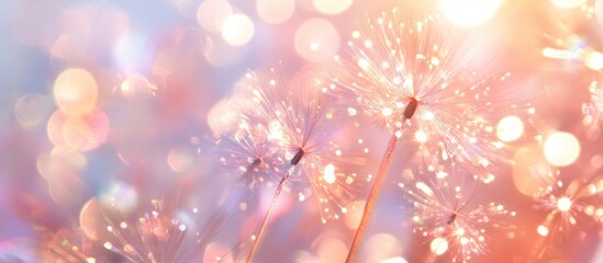 Poster - Stunning close-up of sparkling lights on a glossy background creating a dreamy bokeh effect for festive celebrations and artistic projects