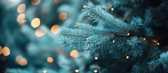 Poster - bokeh abstract background of fir tree branches with soft blue tones and warm glowing lights for fest