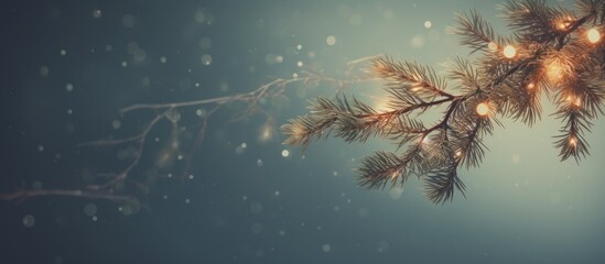Poster - Softly illuminated Christmas tree branch with golden lights against a dreamy blue background perfect for winter holiday themes