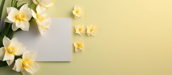 Poster - Spring greeting card mockup with daffodil flowers and blank space for personalized messages on a soft gradient background