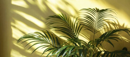 Poster - Palm leaves casting shadows on a vibrant yellow wall creating a tropical ambiance in a serene interior setting