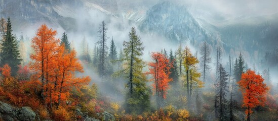 Poster - Misty autumn forest in the Alps showcasing vibrant foliage and dramatic mountain backdrop under a foggy sky