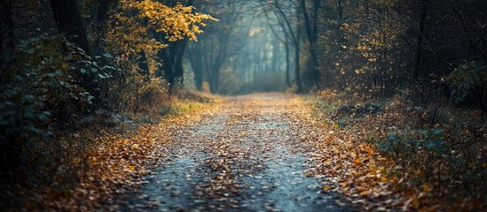 Poster - serene autumn pathway surrounded by trees with fallen leaves creating a tranquil and picturesque lan
