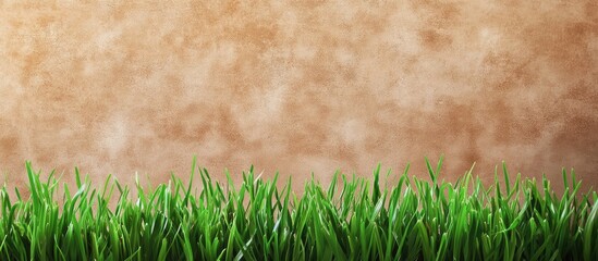 Sticker - Vibrant green grass contrasting with a rustic brown textured background ideal for seasonal themes and nature concepts