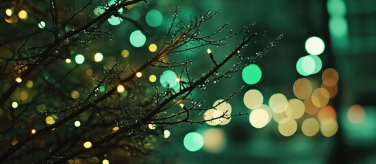 Poster - Green Bokeh Lights Reflected on Wet Branches in a Night Urban Setting