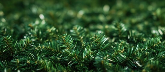 Aufkleber - Closeup of lush green Christmas tree branches suitable for seasonal decorations and festive background imagery