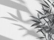 © ArtiShyna - leaves in green tones on a pastel background, black and white