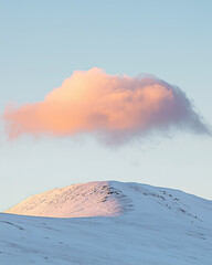 Wall Mural - Summit of a snowy mountain with a cloud right above at sunrise.