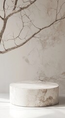 Poster - A white pedestal with a tree branch above it