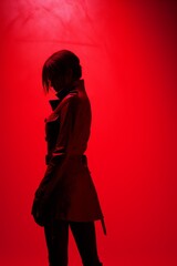 Poster - Minimalistic fashion silhouette  stylish pose with contrasting colors and text space