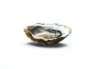 Open oyster shell with pearl, showcasing intricate textures and details. natural beauty of shell highlights its unique patterns and colors, evoking sense of elegance and wonder