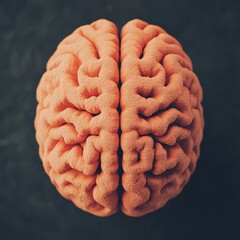 Poster - Close-up top view of a textured human brain model.