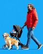 © nengredeye - Dog and Baby in Stroller on a Bright Day