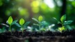 © Jittapon - Closeup view of vibrant green plant sprouts growing steadily from fertile soil symbolizing continuous progress sustainable development and upward movement towards success and achievement