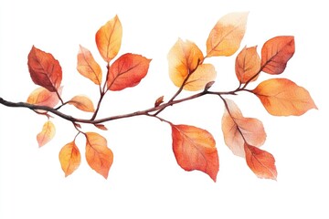 Sticker - Watercolor illustration of leaves on a branch, perfect for nature and design projects