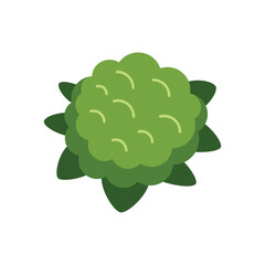 Poster - this is a green round bush growing in a spring garden