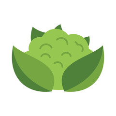 Poster - this vector illustration features a simple green cauliflower with large leaves, isolated on a white 