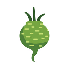 Poster - This vector illustration shows a green beetroot growing with leaves on top