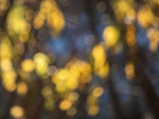 bokeh effect and purposely blurred view of sunlight. blurry background with photographic bokeh effec