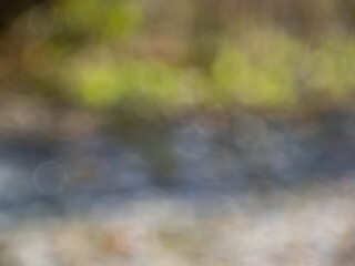 Wall Mural - Bokeh effect and purposely blurred view of sunlight. Blurry background with photographic bokeh effect in nature tones