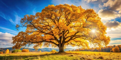 Poster - A majestic golden tree bathed in the warm glow of the setting sun, casting long shadows across the vibrant autumnal landscape