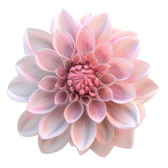 Wall Mural - pink dahlia flower closeup