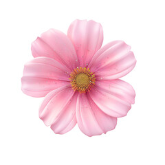 Wall Mural - pink flower blooming