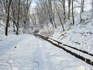 Wall Mural - A stream and snow all around in Maramures, Romania