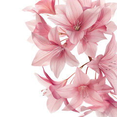 Wall Mural - pink flowers bouquet
