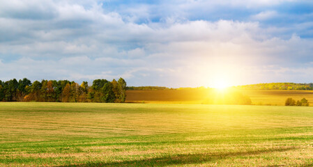 Wall Mural - Harvested fields and meadows. Wavy rural autumn landscape and sunset.