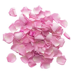 Wall Mural - pink rose petals scattered