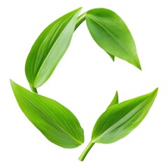 Poster - A circular arrangement of green leaves symbolizes nature, sustainability, and eco-friendliness.