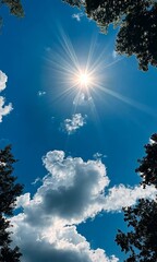 Wall Mural - low angle view of sky is blue with a few clouds and the sun is shining brightly